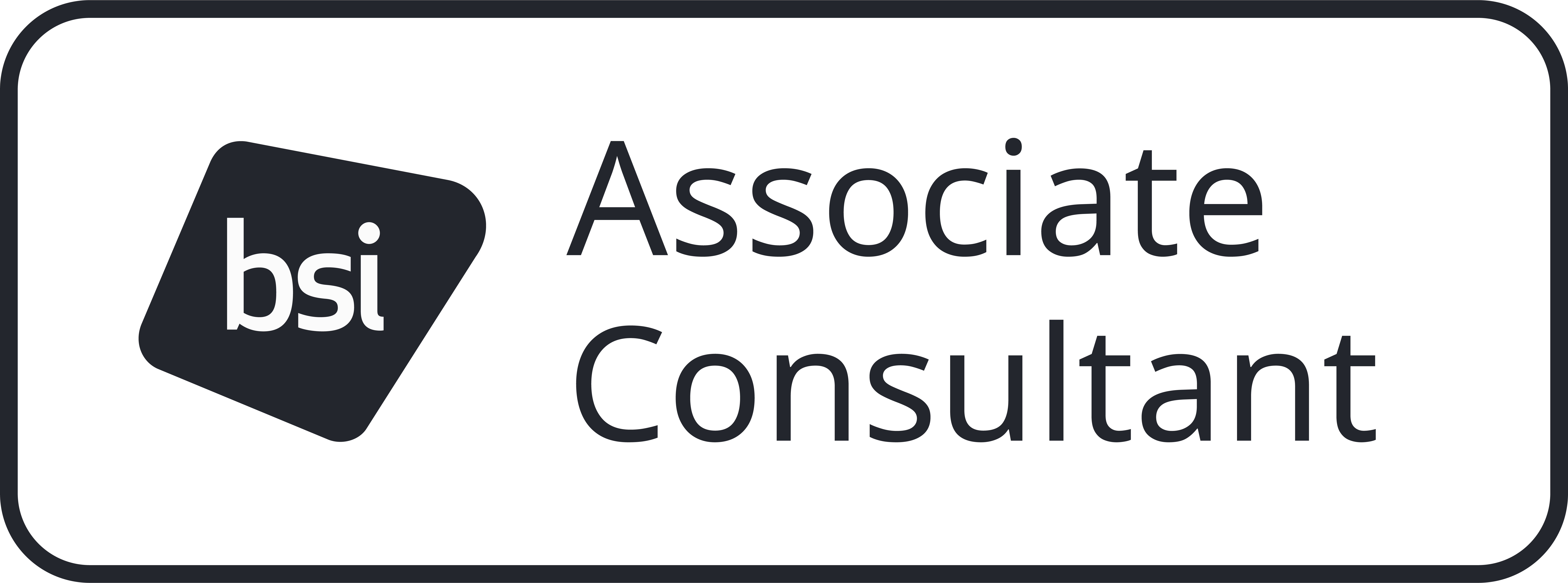 BSI Associate Consultant Programme